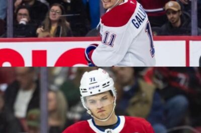 (N) The NHL’s BIGGEST Secret is Out: Find Out Which TWO Cities Are on the Shortlist for the Next Expansion Team!