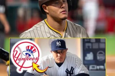 (M) MACHADO EARTHQUAKE: YANKEES DROP $300M BOMB oп MLB