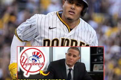 (M) THREE-YEAR POWER PLAY: Manny Machado SIGNS contract to STRENGTHEN Yankees lineup