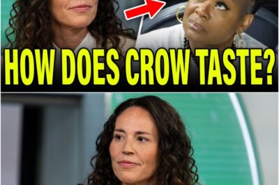 SUE BIRD UNLEASHES FURY ON SHERYL SWOOPES! 😱 Defends Caitlin Clark & Indiana Fever IN EPIC SHOWDOWN!
