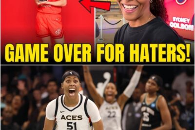 Sydney Colson’s GAME-CHANGING Plans REVEALED! The Fever’s Next Season Is About To Be WILD!