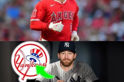 WARD REJECTS $200M from Angels to JOIN YANKEES!