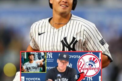 JUDGE EXPLODES: Names VOLPE “TOXIC CANCER” in Team MELTDOWN!