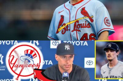 INSANE EXIT: Goldschmidt SHUTS DOWN Yankees’ $300M Offer, RETIRES INSTANTLY—The online community is buzzing with rumors about the MYSTERIOUS REASON behind it.