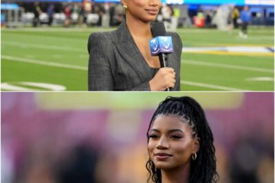 Taylor Rooks Steals the Show at Mavericks vs. Lakers Game: What Outfits & Dazzling Moves Went Viral?