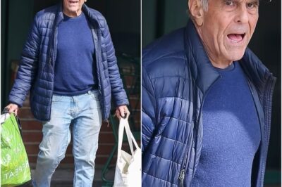 Jaws Star, 79, Spotted in LA Looking Unrecognizable—Hat Reveals HUGE Role in Iconic Film!
