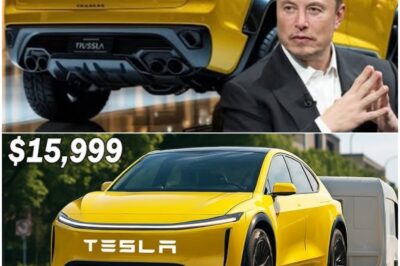 Breaking News: Elon Musk Officially Unveils Tesla Model Q Today – The Car That Will Redefine Everything You Know About Driving! 🚗