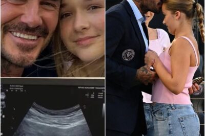 Harper Beckham’s Pregnancy Shocker: The Real Father Will Leave You Speechless—You Won’t Believe Who It Is!