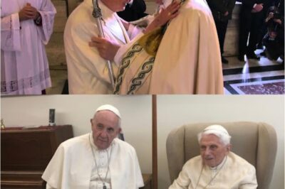 The Pope’s Hidden Past: What He Never Told You About His Personal Life
