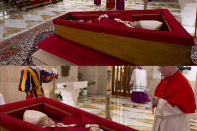 Shockwaves in the Vatican: The World Says Goodbye to Pope Francis — Discover the Untold Stories Before Saturday’s Burial!