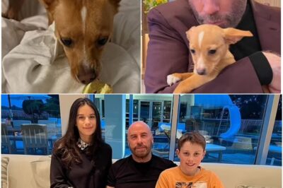 You Won’t Believe What John Travolta’s Dog Did in His $10M Florida Mansion — Fans Are Shaking!