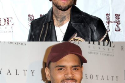 Shocking Lawsuit: Chris Brown Accused of Publicly Shaming Woman Online – The Devastating Details Inside!