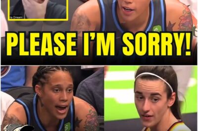 Brittney Griner’s SHOCKING RAC*ST Slur Against Caitlin Clark Sparks OUTRAGE – WNBA SUSPENSION Looming? Sources Claim Griner’s Career Hangs in the Balance as Fans Demand Accountability – THIS COULD END HER LEGACY!