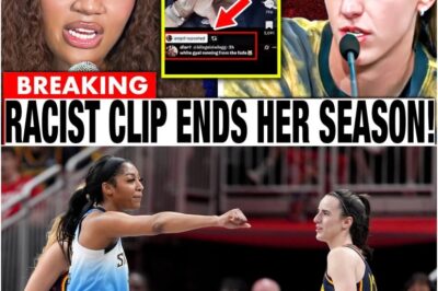 TikTok Backlash! Angel Reese Suspended Amid Accusations of Racist Content Targeting Clark & Fever – WNBA Grapples with Social Media Fallout in Wake of Star’s Controversial Post!