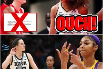 BREAKING: WNBA Probe Reveals MASSIVE Cover-Up Against Indiana Fever Fans – Investigation Uncovers Coordinated Smear Campaign Based on LIES, Sparking Demands for Resignations and Million-Dollar Lawsuits!