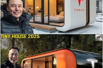🚨 Elon Musk Just Dropped a $6,999 Tesla Tiny House – Is This the End of Traditional Housing? The 2025 Tesla Micro Home Blends Futuristic Tech with Eco-Friendly Living, Designed for Everyone! Limited Release Shakes Up Real Estate Market – Could This Be the Biggest Shift Since the iPhone?