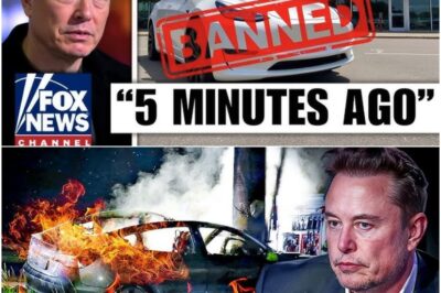 Doomsday for Tesla: Elon Musk Announces Immediate Production Shutdown Amid Global Ban—Massive Setback, 50,000 Jobs Lost, and a 10-Year Dream Crumbles—Is This the Final Chapter?