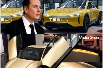 Elon Musk’s Tesla Model 2 Shocker: Levitation Mode, Solar-Powered Battery & AI Butler Included! Over 200,000 Units in Warehouses, Set to Demolish All Other Cars. Auto Experts: ‘This Isn’t Just an Upgrade—It’s a Revolution!’ Act Fast or Get Left Behind!
