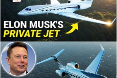 Musk’s $75 Million Jet Just Landed a Blow to Private Aviation: The G700 Redefines Luxury, Leaving Rivals in the Dust! Boasting unparalleled range and bespoke interiors, Elon’s new flying palace isn’t just transportation—it’s a statement. Is this the ultimate symbol of billionaire power, and the end of the line for competitors?