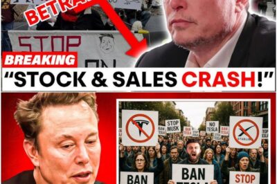 Tesla’s Epic Collapse: Stock Plummets, Sales Vanish, and Anti-Elon Protests Erupt – Is This the End of an Empire? The Once-Unstoppable Giant is Crumbling in a Slow, Painful Freefall That No One Saw Coming!