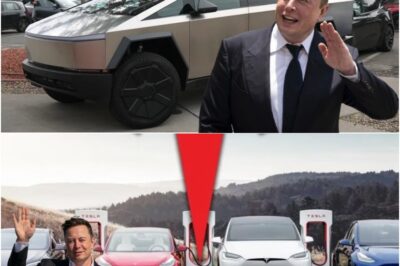 Tesla’s Tumble? Elon Musk Faces Crisis as Car Returns Surge & Loyalty Wanes! The electric car giant is facing a perfect storm of bad news – could this be the beginning of the end for Elon Musk’s automotive empire? Get the exclusive details on Tesla’s shocking decline!