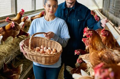 Elon Musk Shocks Silicon Valley With Egg Farm Visit—Reveals Secret Plan: Humanity’s Future ‘Depends on Farmers, Not Just Tech Giants’ as Billionaire Warns, ‘Starships Won’t Feed the World’