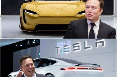 Tesla’s Game-Changer: Meet the 2025 Model Z — The Most Advanced Electric Vehicle Ever Created! With Jaw-Dropping Features, Ultra-Fast Charging, and Futuristic Design, It’s Set to Redefine the Auto Industry. Prepare for Shockwaves as Tesla Pushes Boundaries and Leaves Competitors in the Dust!