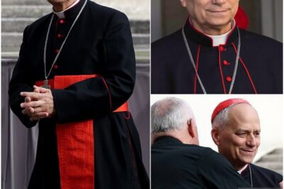 History Shattered: American Robert Prevost Elected as First-Ever U.S. Pope, Assumes Name Pope Leo XIV—Global Reactions Pour In”