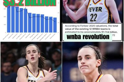 UNTHINKABLE! The “Caitlin Clark Effect” triggers a $3.2 BILLION WNBA gold rush, CRUSHING all past metrics into dust! Sold-out arenas, record TV deals, and a merch frenzy unseen before. Is this one woman’s impact the biggest financial bombshell in modern sports history? The numbers are in!