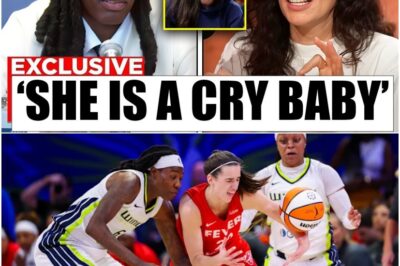 WNBA IN CHAOS! Natasha Howard’s explosive comment about Caitlin Clark ignites firestorm, fans divided as controversy explodes over her shocking remarks.