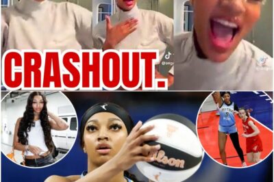 Angel Reese has unleashed a chaotic and deeply personal war against her own fanbase. Triggered by criticism of her rebounding stats, her unhinged social media rant has devolved into a truly weird spectacle that has the entire sports world buzzing and asking: what’s wrong?