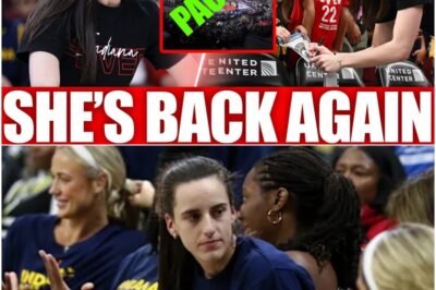 This is not a drill! The phenomenon is bigger than we ever imagined. Newly released ratings data shows Caitlin Clark generated a historic, record-breaking audience simply by sitting on the bench. The WNBA has officially found its golden goose, and she prints money just by breathing the air.