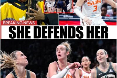 Atlanta Dream Owner’s Defense Sparks Outrage: “She Always Spread Hate!” – Is This Condemnation of Abuse or Enabling Behavior? The reaction to the owner’s statement is explosive, raising serious questions about the team’s values. Get the full story on the attacker, the owner’s defense, and the ensuing backlash!