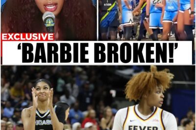 ANGEL REESE UNLEASHED! Watch her EXPLOSIVE fight with Nalyssa Smith that the WNBA pretends DIDN’T HAPPEN! This selective enforcement is an absolute JOKE, leaving fans questioning the league’s integrity. Why is Reese seemingly untouchable after this clear aggression? The silence is deafening!