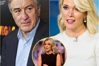 The war between Robert De Niro and Megyn Kelly just went nuclear. Following Kelly’s explosive public insult, De Niro fired back with a chilling eight-word message that insiders claim has put careers on the line. The studio is in full panic mode as the feud threatens to implode Hollywood.