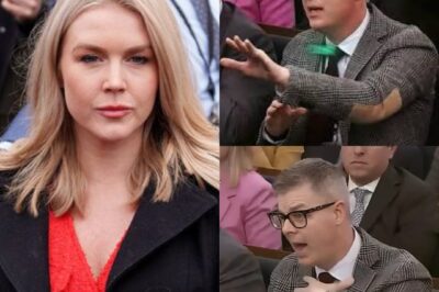 Live TV Fallout: Reporter Fired After Disrespectful Insult to Karoline Leavitt—News Outlets Face Backlash for Interview Etiquette!