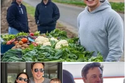 Elon Musk Reveals Shocking Secret to His Genius: The Billionaire Innovator Swears by a Vegetable-Powered Diet! Is This the Real Source Behind His Groundbreaking Ideas? Experts Stunned as Musk Credits Veggies for His Success—Could This Healthy Fuel Be the Key to Unlocking Your Own Brilliance?