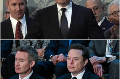 Elon Musk’s $790M ABC Buyout Sends Shockwaves — ‘The View’ Canceled in Furious Response to Alec Baldwin’s Public Breakdown!
