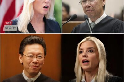 BREAKING: “You Don’t Argue the Constitution with a Campaign Lawyer.” — How Judge Edward Chen Froze a Courtroom, Crushed Pam Bondi’s Nomination, and Left the Legal World Shaken