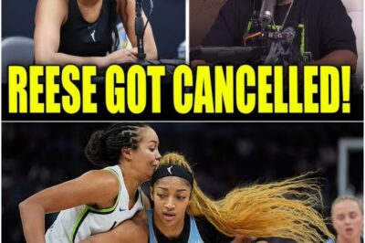 Angel Reese DEVASTATED as Brands CANCEL Deals—Ice Cube’s Harsh Reality Check Goes Viral: ‘She’s No Caitlin Clark!’ WNBA Star Faces Career Crisis After Brutal Clapback!