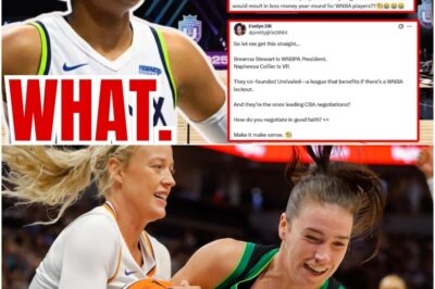 Backlash Erupts! Napheesa Collier’s Response to WNBA Fan Backfires Badly—ESPN’s Explosive Story on Unrivaled Conflict Sends Shockwaves Through the League and Ignites a Social Media Frenzy!