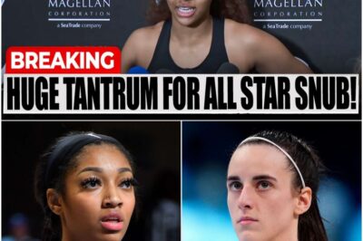 ANGEL REESE MELTDOWN! WNBA fans, media, players REJECT her All-Star bid—‘She’s no Caitlin Clark!’ Reese fumes as league turns on her. Is this the start of a SUPERSTAR EXODUS?