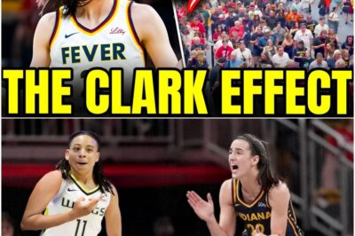 BREAKING: Caitlin Clark SHATTERS Viewership Records As THOUSANDS SWARM Connecticut Sun Arena—UNBELIEVABLE Scenes Leave WNBA Speechless! Experts Say No Player Has EVER Drawn Crowds Like This Before!
