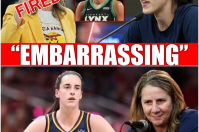 BREAKING: Caitlin Clark EXPOSES The Truth Behind Cheryl Reeve’s SHOCKING Dismissal—Napheesa Collier’s Involvement Sends WNBA Into TURMOIL As Fans Demand Answers! “This Didn’t Happen By Accident,” Clark Says!