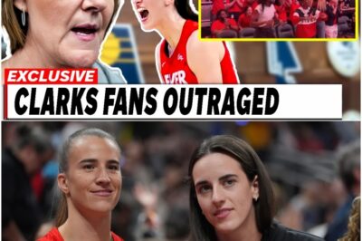 The Truth Behind the Indiana Fever’s Collapse: Did One Sentence Spark a Crisis That Could Ruin the Franchise Forever? Fans and Experts Are Stunned by the Devastating Impact!