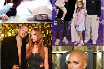 Midnight Alarm Ignites Panic: Star duo jolted awake by thunderous burglary alert at their secluded LA mansion, unleashing a frantic battalion of patrol cars, blazing sirens and swirling gossip over a possible brazen break-in attempt!
