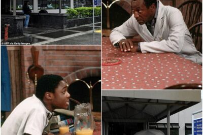 For years, silence surrounded Malcolm-Jamal Warner’s drowning – now, the doctor who was on the scene breaks his silence, revealing never-before-heard details about the frantic rescue efforts and the final moments of the ‘Cosby Show’ star’s life.