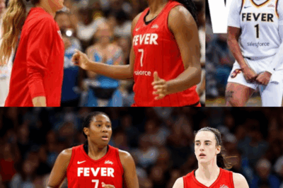 Indiana Fever Rise To Glory In Epic Win Over Sparks, Odyssey Sims Steals The Spotlight With Clutch Game-Winner, Aliyah Boston Delivers Stellar Performance, And Fans Are Left Screaming, Social Media Erupts, And Experts Declare This Fever Team A Legit Threat To Take The League By Storm!