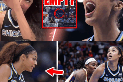 Shocking Scene: Angel Reese Returns to WNBA Court Yet Crowd Refuses to Show — Emotional Collapse Stuns the Basketball World