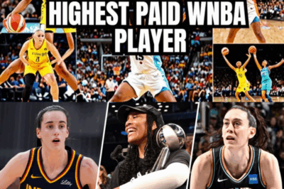 “Explosive figures revealed: The WNBA’s top earners still pull under $250K, with stars like Kelsey Mitchell leading at just $249K, while rookie phenom Caitlin Clark—making only $76K—trumps them all, raking in a staggering $11 MILLION from endorsements in alone!”